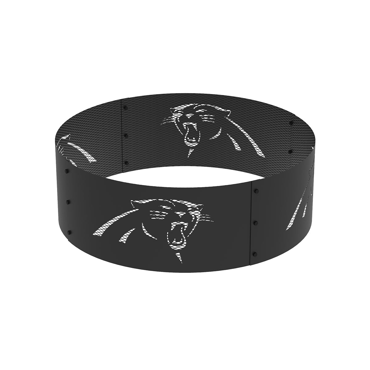 Carolina panther ring sale